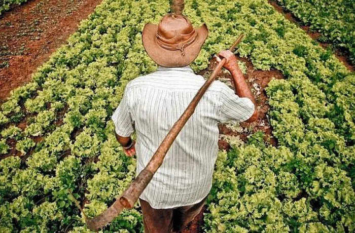 Systemuploadsnews55478bcc330f098d5cc 700x460xfit